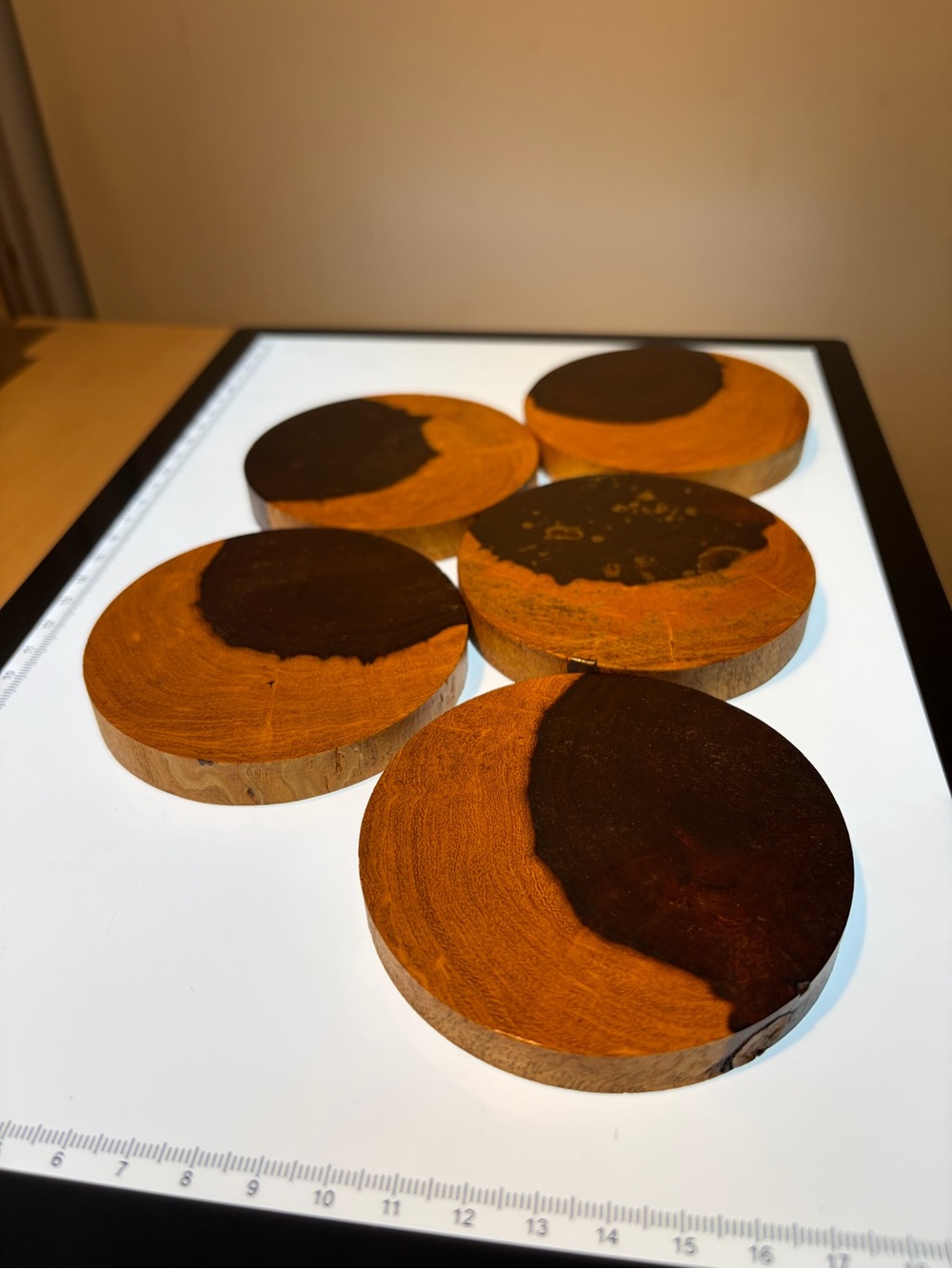 ✨ BUNDLE OF 5 Handcrafted Rustic Ironwood Drink Coasters ✨